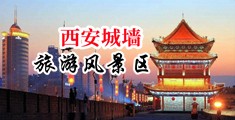 亚州老男人厕所凸轮视屏中国陕西-西安城墙旅游风景区